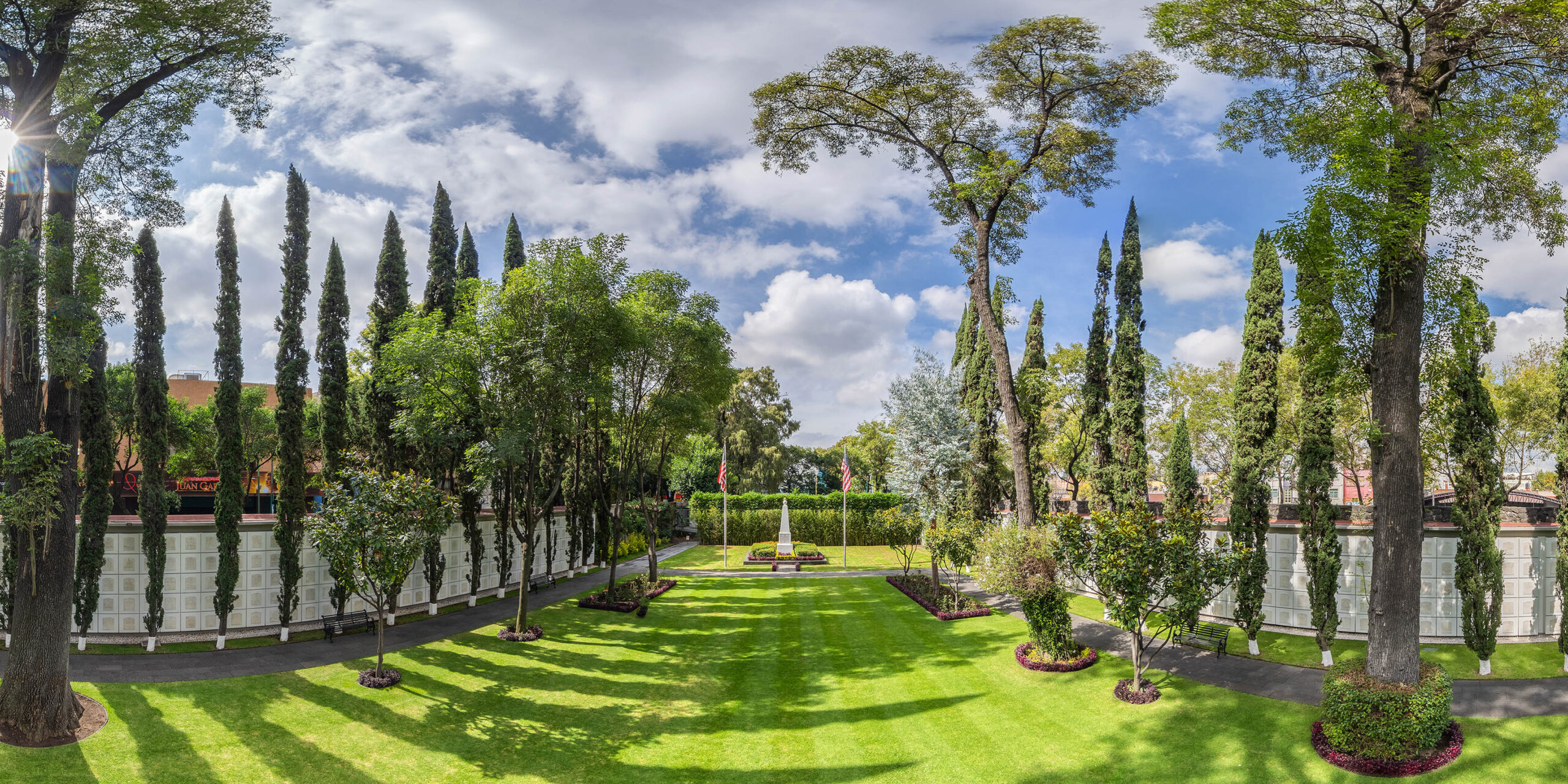 Chapultepec gardens with cypress trees